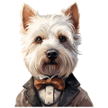Pies garnitur i muszka West_Highland_White_Terrier