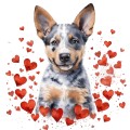 Piesek i serduszka Australian Cattle Dog