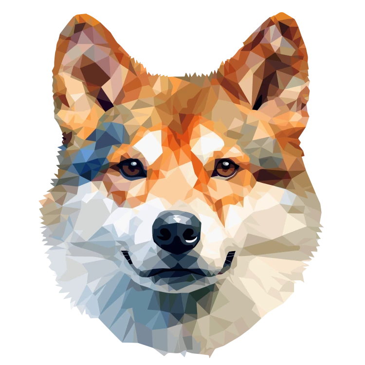 Akita_.png