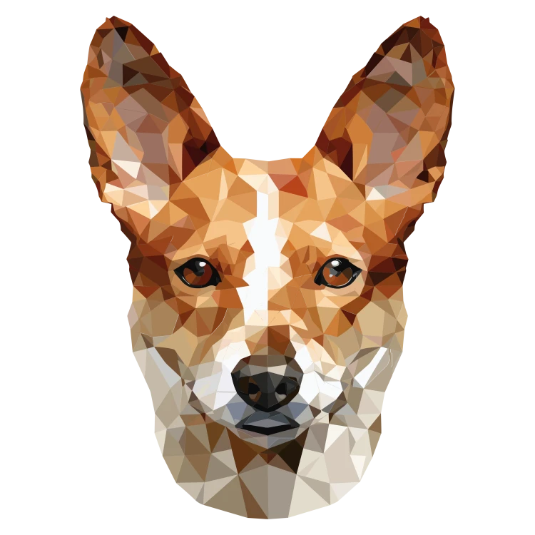 Basenji_.png