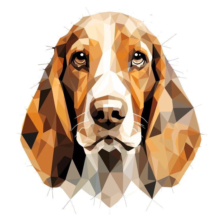 Basset_Hound.png
