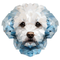 Bichon_Frise.png