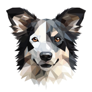 Border_Collie.png