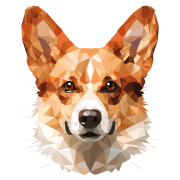 Corgi.png