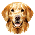 Golden_Retriever_.png
