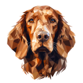 Irish_Setter.png