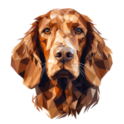 Irish_Setter.png