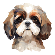 Shih_Tzu.png