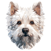 West_Highland_White_Terrier.png