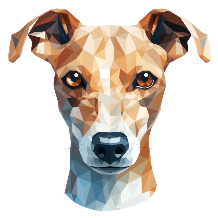 Whippet.png