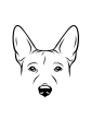 10-Basenji_-03.png