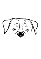 19 Boxer (1)-03.png