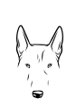 23-Bull Terrier-03.png