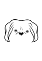 82-Pekingese-03.png