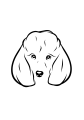 88-Poddel-03.png