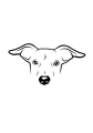 122-Whippet-03.png