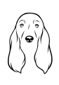 36-Cocker spaniel-03.png