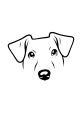 63-Jack Russell Terrier-03.png