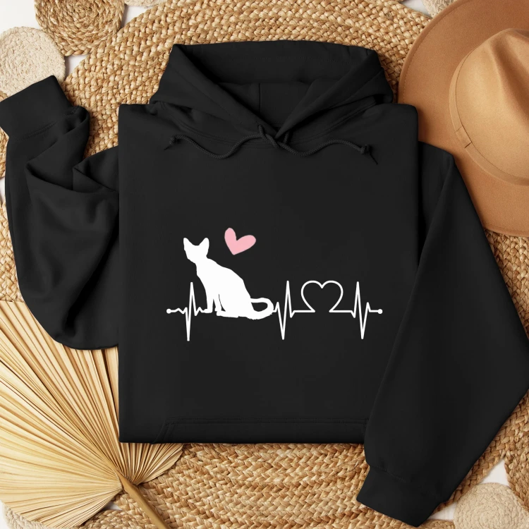 devon rex.jpg