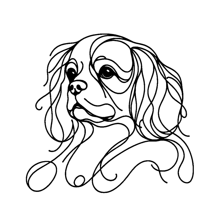 Ilustracja line art –cavelier