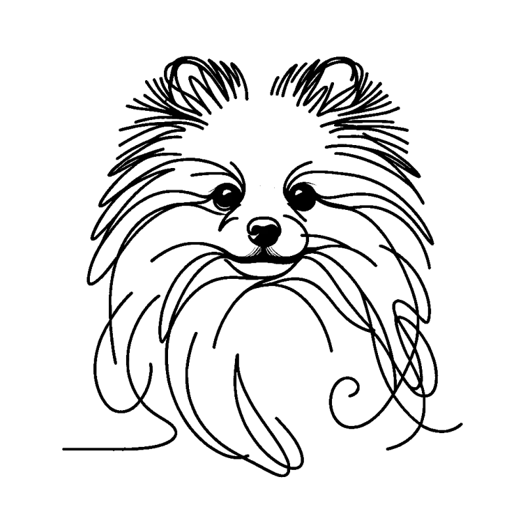 Ilustracja line art –szpic