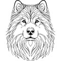 Ilustracja line art –alaskan