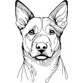Ilustracja line art –catlle dog