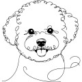 Ilustracja line art –bichon