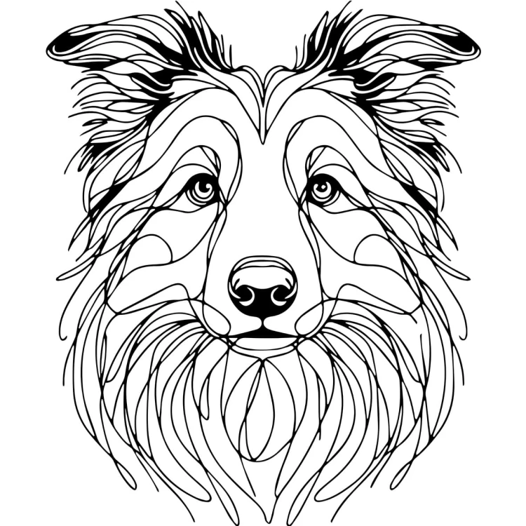 Ilustracja line art –border