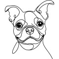 Ilustracja line art –boston