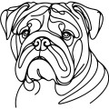 Ilustracja line art –buldog