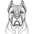 Ilustracja line art –cane corso