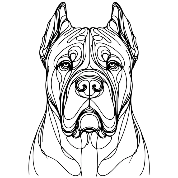 Ilustracja line art –cane corso