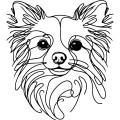 Ilustracja line art –chihuahua długowłosa