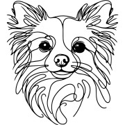 Ilustracja line art –chihuahua długowłosa
