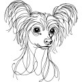 Ilustracja line art –grzywacz chiński