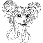 Ilustracja line art –grzywacz chiński