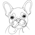 Ilustracja line art –buldog francuski