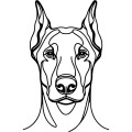 Ilustracja line art –doberman