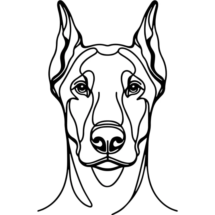 Ilustracja line art –doberman