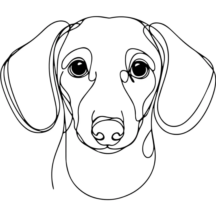 Ilustracja line art –jamnik
