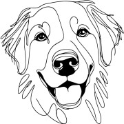 Ilustracja line art –golden