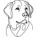 Ilustracja line art –labrador