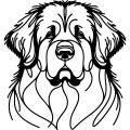 Ilustracja line art –nowofundland