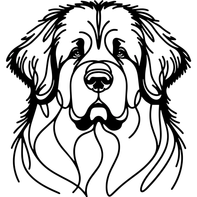 Ilustracja line art –nowofundland