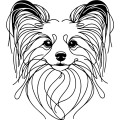 Ilustracja line art –papillon