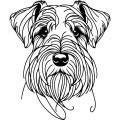 Ilustracja line art –sznaucer