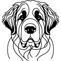 Ilustracja line art –bernardyn