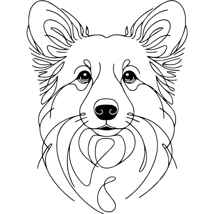 Ilustracja line art –corgi
