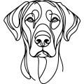Ilustracja line art –rhodesian